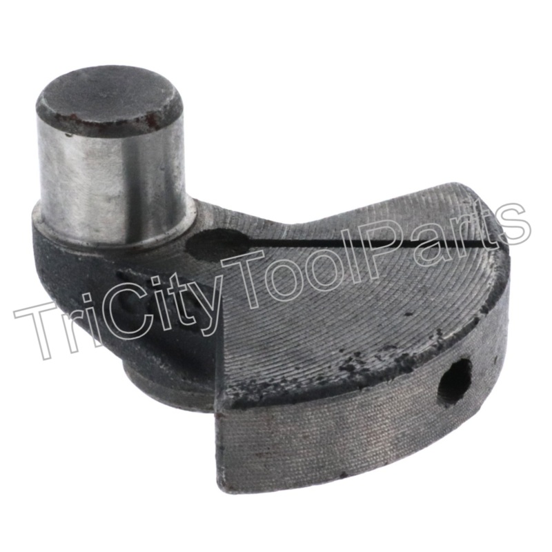 E107962  Eccentric Husky