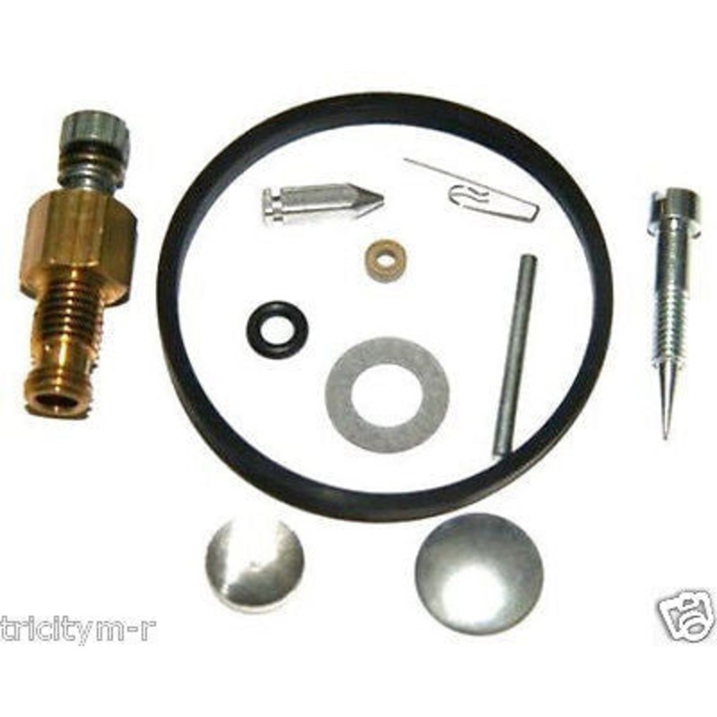 631978 TECUMSEH Carburetor Kit  HM80  HH40-70 HS40-50..