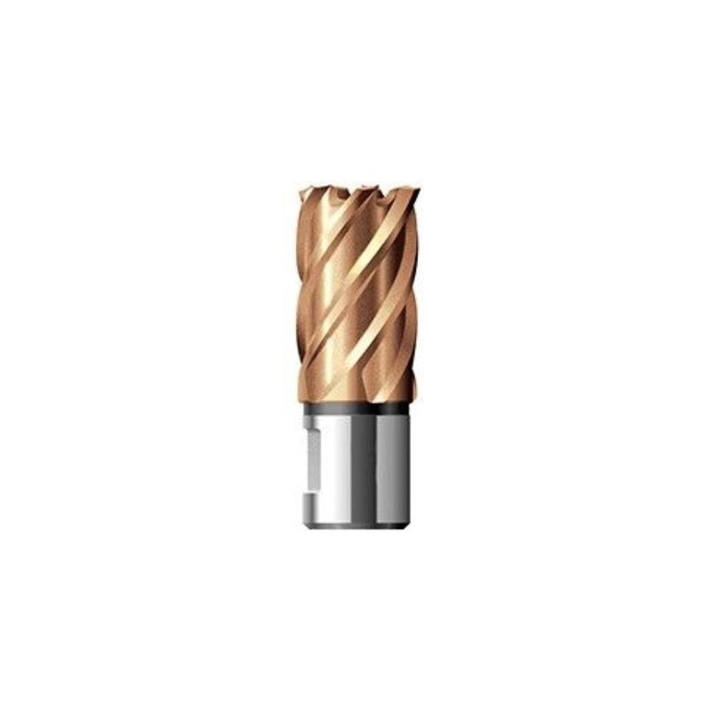 BDS CS Unitec 8-1-154 T 1-11/16 Dia. X 1 Depth Armor-Plated Titanium Carbide Coated Annular Cutter | Pilot Pin Included