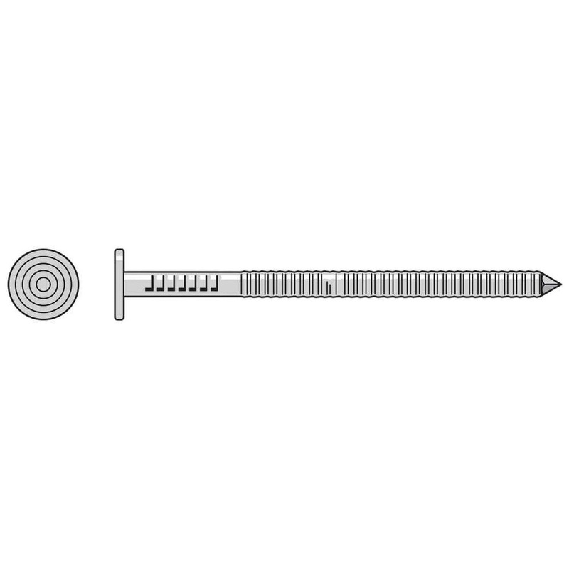 Simpson Strong-Tie T8KR75 (2-1/2 x 7/32) Premium Siding Nail Type 316 Stainless Steel (5 lb. Tub)