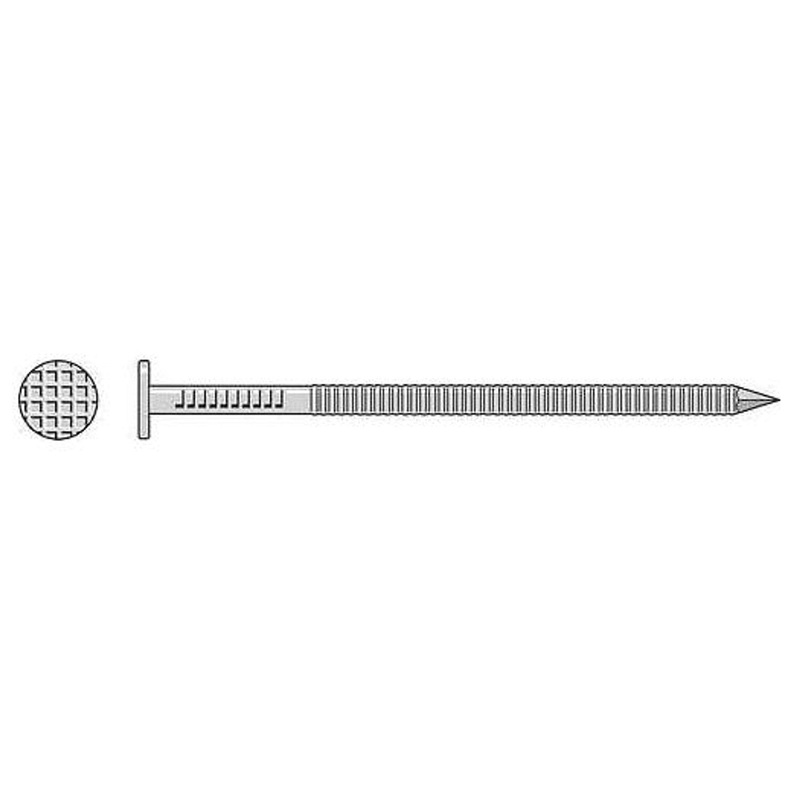 Simpson Strong-Tie S20ACN5 (4 x 0.203) Common Nail, Annular Ring Shank, Type 304 Stainless Steel (5 lb. Tub)